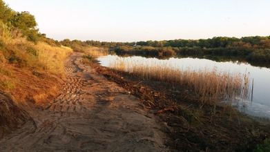 El ayuntamiento de Valencia regenera la orilla de la laguna del Racó de L’olla