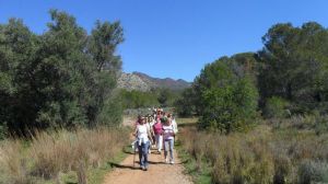 El Patronato de Deportes de Castellón abrirá una ruta de senderismo por el Desert de les Palmes