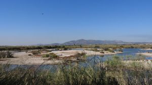 Una aportación extraordinaria de agua del Xúquer llega a la Marjal dels Moros tras el incendio