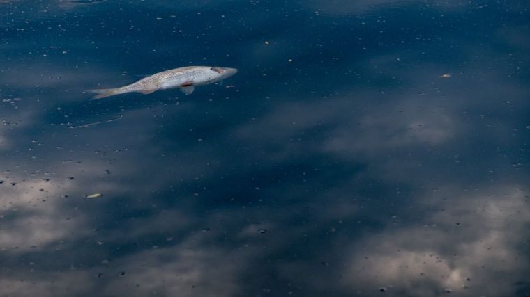 12 millones de euros de multa a España por depurar mal sus aguas