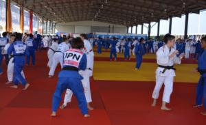 La I Concentración Internacional de Judo Alicante reúne a 700 deportistas