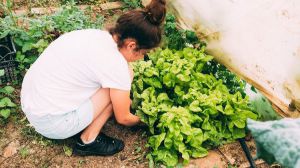 Marzà: 'Las ecoescuelas son clave en la innovación educativa valenciana'