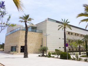 Seminario sobre dolor y TDAH en modelo de ratón en la UMH