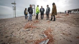 Ribó recorre las playas del sur para comprobar sobre el terreno los daños causados por el temporal