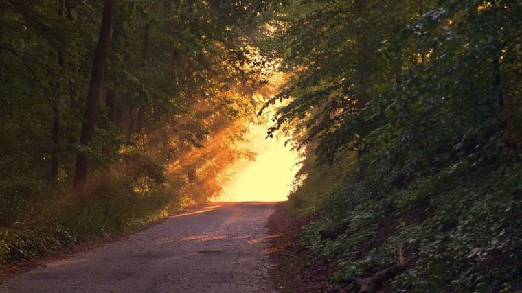 La vida te lleva por caminos raros