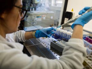 UMH e ISABIAL lanzan unidad para investigar cultivos celulares 3D terapéuticos