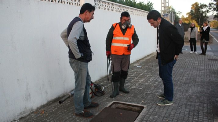 Castelló valora en 200.000 euros la ampliación de los tratamientos antimosquitos