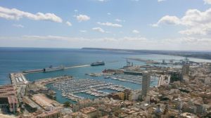 Pascual celebra la elección de Alicante como escala de la Ocean Race
