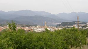 Condenado por matar de dos puñaladas a un compañero de trabajo en Altura (Castellón)