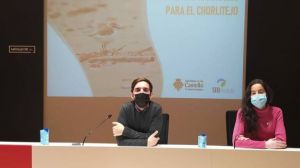 Castelló y SEO Bird Life promueven buenas prácticas para proteger al chorlitejo
