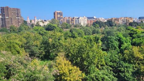 València como ciudad referente para el diseño de políticas de transición ecológica inclusiva
