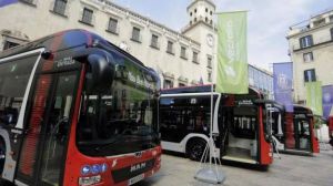 Alicante activa el bus gratuito a menores de 31 años y mantiene a mitad de precio el resto