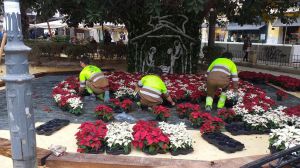 Alicante se tapiza de flores y adornos navideños