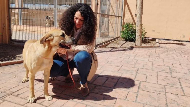 El número de animales en la protectora municipal de Alicante casi se duplica en el último año