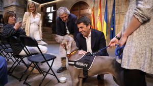 Mazón: "Reforzamos la protección animal y nos situamos en la vanguardia de la lucha contra el abandono de animales"