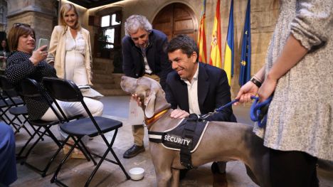 Mazón: 'Reforzamos la protección animal y nos situamos en la vanguardia de la lucha contra el abandono de animales'