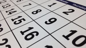 Calendario del próximo curso escolar, que se inicia el 9 septiembre y finaliza el 18 de junio de 2025
