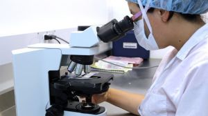 València lidera la investigación mundial sobre aplicación de IA a la lucha contra el cáncer