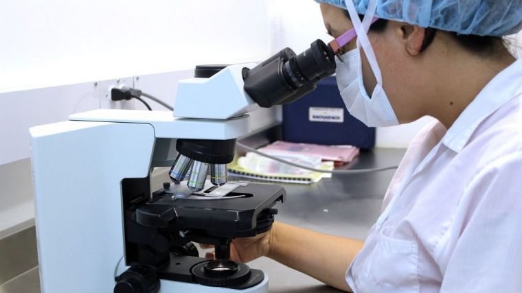 València lidera la investigación mundial sobre aplicación de IA a la lucha contra el cáncer