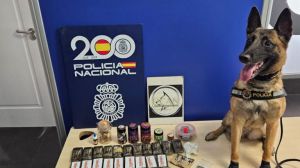 Tres detenidos en la estación de buses de Alicante por tráfico de droga en una intervención de ‘Kata'