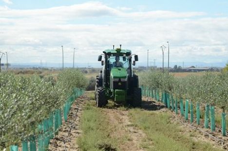 Ayudas disponibles para maquinaria agrícola afectada por la DANA