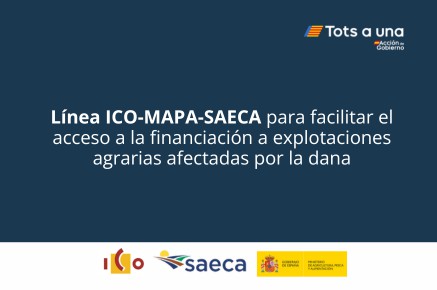 Ayudas de hasta 275 millones para agricultores afectados por la dana