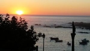 Apertura de la pesca de caballa para buques de artes menores en Asturias y Lugo