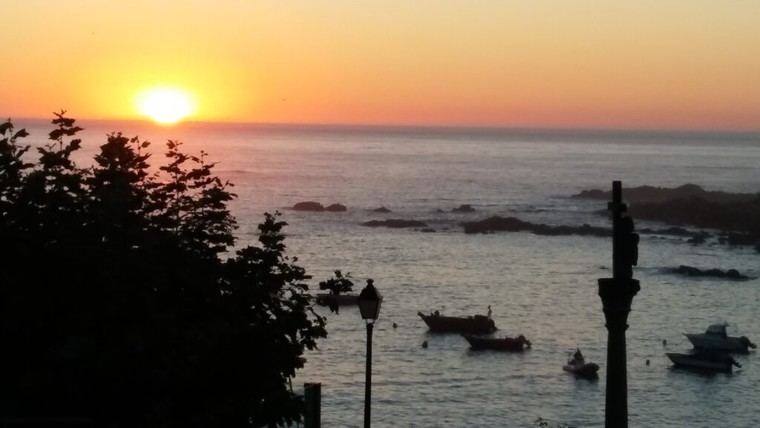 Apertura de la pesca de caballa para buques de artes menores en Asturias y Lugo