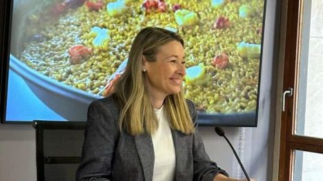 Alicante destina 200.000 € en ayudas para revitalizar comercio y hostelería