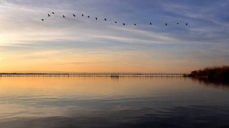 La Generalitat destina 15 millones de euros para dragar l'Albufera y eliminar sedimentos