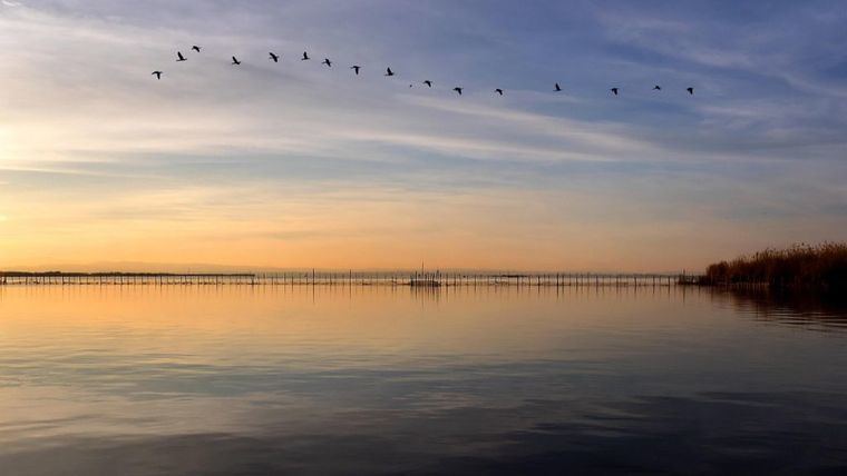 La Generalitat destina 15 millones de euros para dragar l'Albufera y eliminar sedimentos