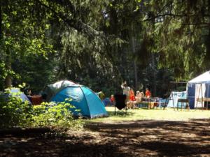 Casi medio millar de jóvenes disfrutan de los campamentos de verano organizados por el IVAJ