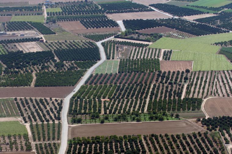 Los agricultores valencianos están entre los primeros en recibir el adelanto de los pagos directos de la PAC 2018