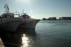 7,9 millones de euros para la modernización de los puertos pesqueros de la Comunitat