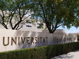 UMH mejora su Protocolo ante Fenómenos Meteorológicos