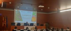 Prevención del HLB, clave para la citricultura en Valencia