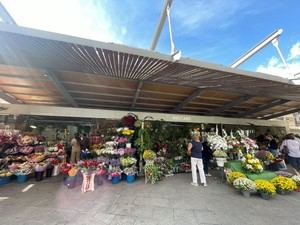 Alicante habilita puestos de flores y mercadillos para Todos los Santos
