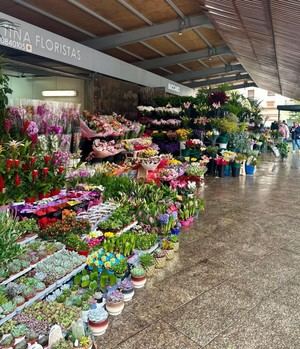 Alicante extiende horarios de venta de flores en San Valentín