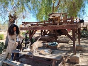 Alicante renueva contrato para la gestión de animales con la Sociedad Protectora