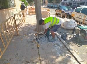 Alicante adjudica un nuevo contrato de mantenimiento urbano por ocho millones de euros