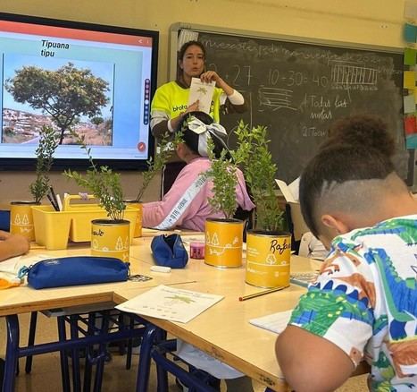 Alicante organiza actividades educativas por la Semana de la Educación Ambiental