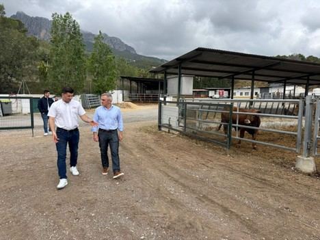 Alicante apoya a 91 jóvenes agricultores con 4,3 millones en ayudas