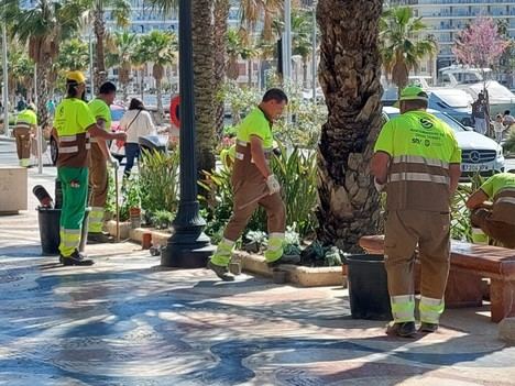 Alicante destina 45 millones a nuevo contrato de mantenimiento de parques y jardines