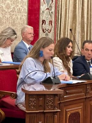 Alicante propone cambios en el plan de Vistahermosa para un hospital privado
