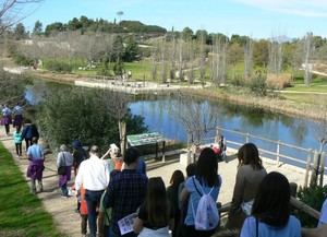 Alicante organiza paseos guiados por sus árboles singulares y espacios naturales