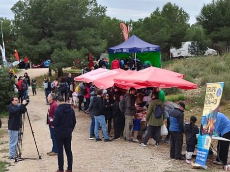 Alicante impulsa la reforestación del Monte Orgegia con mil voluntarios