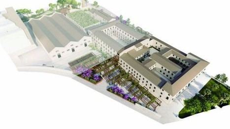 Alicante transforma Casa Misericordia con nuevos árboles y espacios públicos