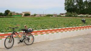 Conceden 83 subvenciones a agricultores y ganaderos en Valencia