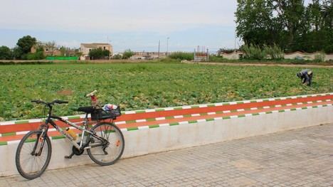 Conceden 83 subvenciones a agricultores y ganaderos en Valencia