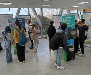 Alicante presenta la exposición 